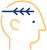 Intellectual Property Law Africa - Afriwise